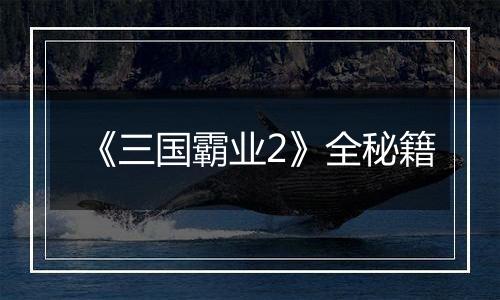 《三国霸业2》全秘籍