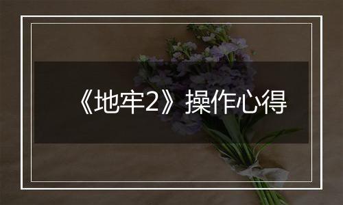 《地牢2》操作心得