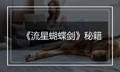 《流星蝴蝶剑》秘籍