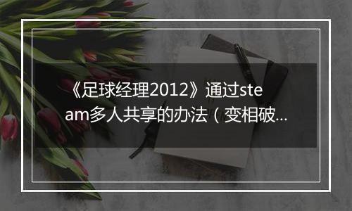 《足球经理2012》通过steam多人共享的办法（变相破解游戏）
