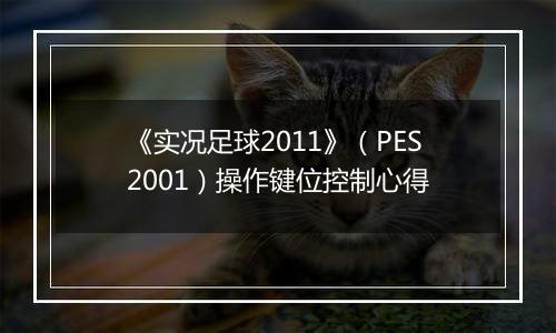 《实况足球2011》（PES2001）操作键位控制心得