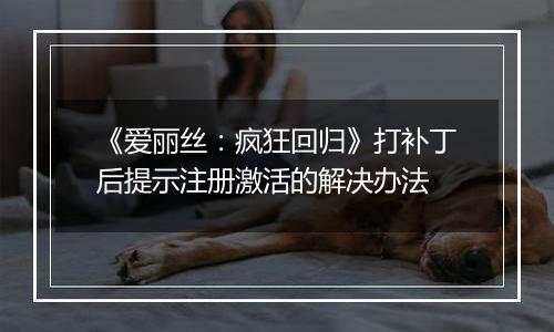 《爱丽丝：疯狂回归》打补丁后提示注册激活的解决办法