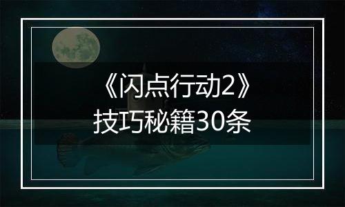 《闪点行动2》技巧秘籍30条