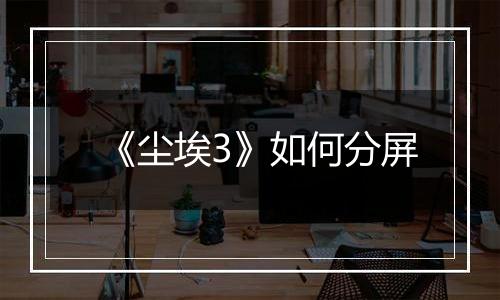 《尘埃3》如何分屏