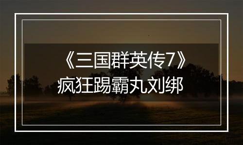 《三国群英传7》疯狂踢霸丸刘绑