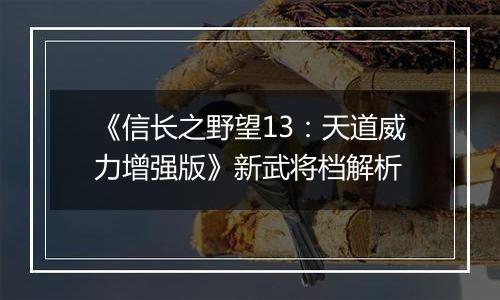 《信长之野望13：天道威力增强版》新武将档解析