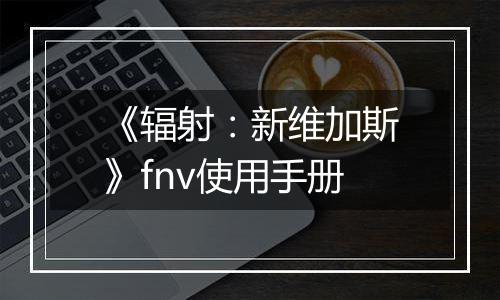 《辐射：新维加斯》fnv使用手册