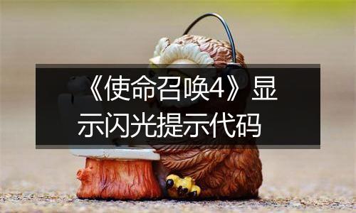 《使命召唤4》显示闪光提示代码