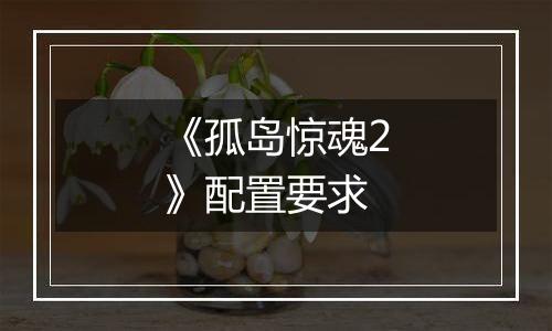 《孤岛惊魂2》配置要求