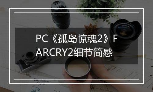 PC《孤岛惊魂2》FARCRY2细节简感