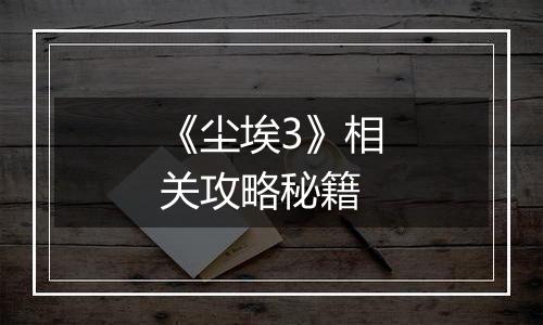 《尘埃3》相关攻略秘籍