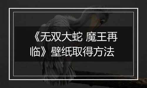 《无双大蛇 魔王再临》壁纸取得方法