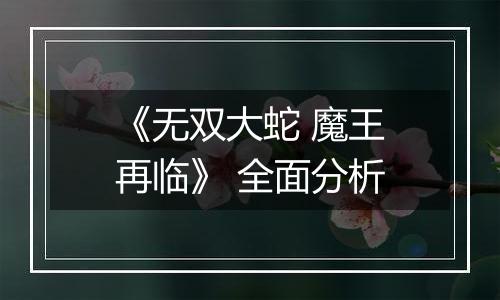 《无双大蛇 魔王再临》 全面分析