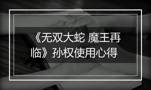 《无双大蛇 魔王再临》孙权使用心得