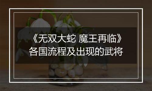 《无双大蛇 魔王再临》各国流程及出现的武将