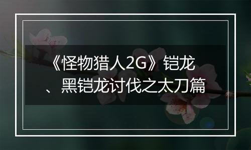 《怪物猎人2G》铠龙、黑铠龙讨伐之太刀篇
