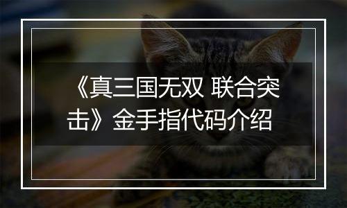 《真三国无双 联合突击》金手指代码介绍