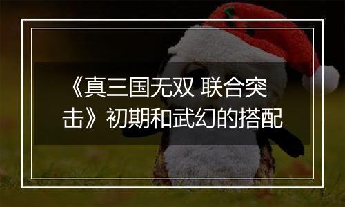 《真三国无双 联合突击》初期和武幻的搭配