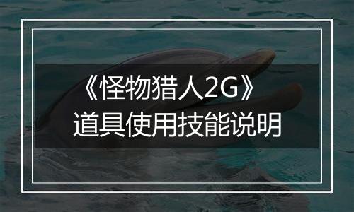 《怪物猎人2G》道具使用技能说明