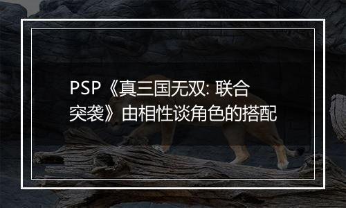 PSP《真三国无双: 联合突袭》由相性谈角色的搭配