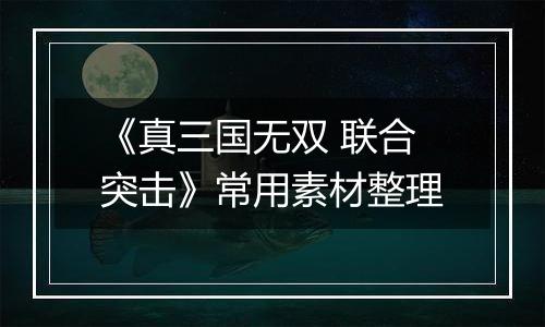 《真三国无双 联合突击》常用素材整理