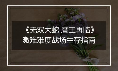 《无双大蛇 魔王再临》激难难度战场生存指南