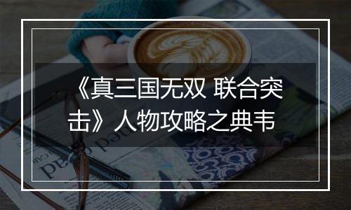 《真三国无双 联合突击》人物攻略之典韦