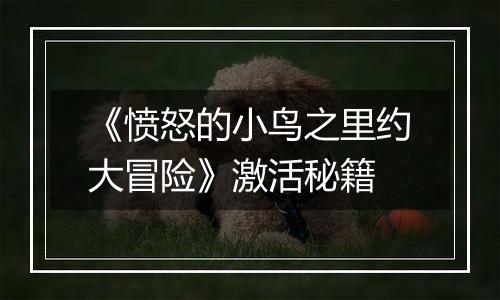 《愤怒的小鸟之里约大冒险》激活秘籍