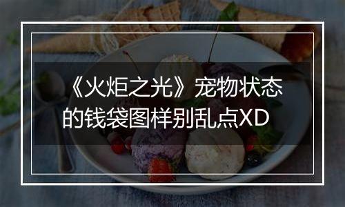 《火炬之光》宠物状态的钱袋图样别乱点XD