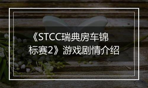 《STCC瑞典房车锦标赛2》游戏剧情介绍