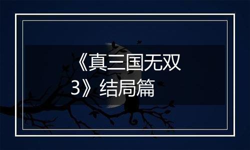 《真三国无双3》结局篇
