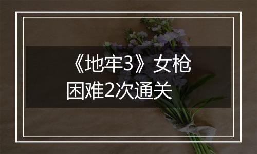 《地牢3》女枪困难2次通关