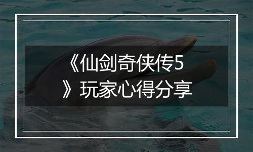 《仙剑奇侠传5》玩家心得分享