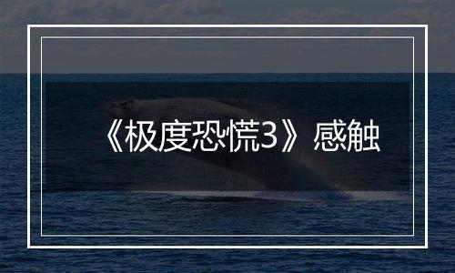 《极度恐慌3》感触