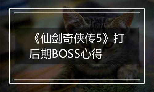 《仙剑奇侠传5》打后期BOSS心得