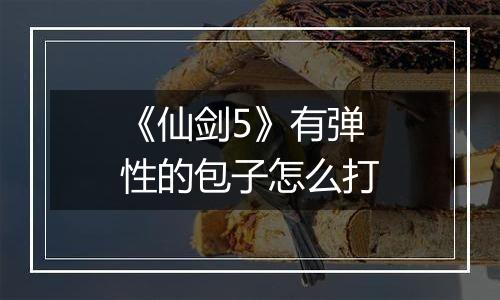 《仙剑5》有弹性的包子怎么打