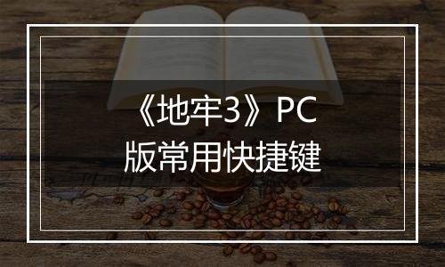 《地牢3》PC版常用快捷键