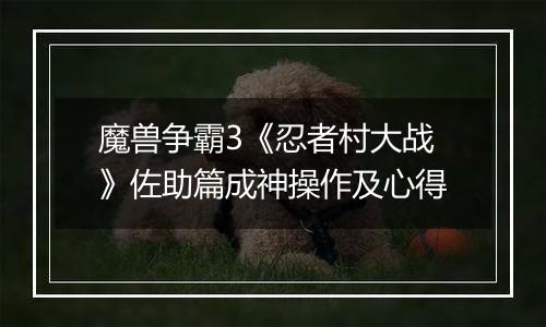 魔兽争霸3《忍者村大战》佐助篇成神操作及心得