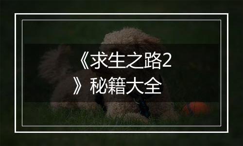 《求生之路2》秘籍大全