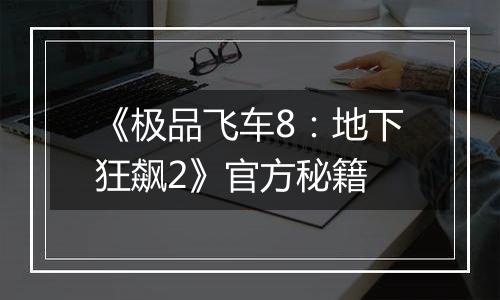 《极品飞车8：地下狂飙2》官方秘籍