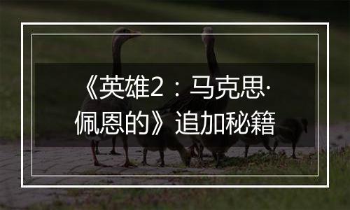 《英雄2：马克思·佩恩的》追加秘籍