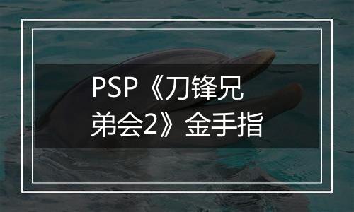 PSP《刀锋兄弟会2》金手指