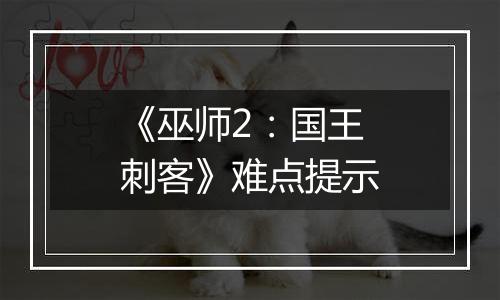 《巫师2：国王刺客》难点提示