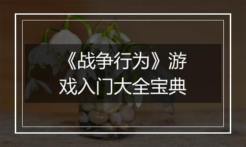 《战争行为》游戏入门大全宝典