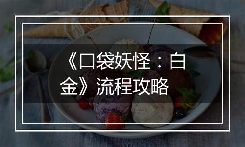 《口袋妖怪：白金》流程攻略