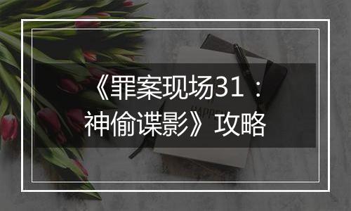 《罪案现场31：神偷谍影》攻略