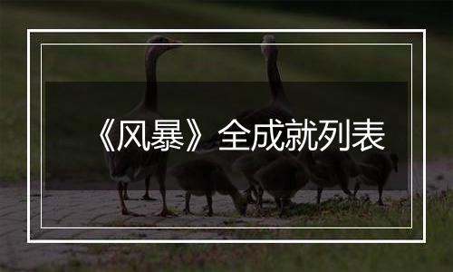 《风暴》全成就列表