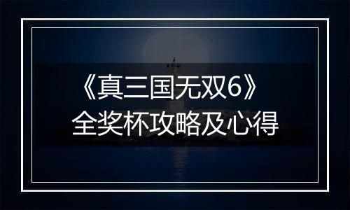 《真三国无双6》全奖杯攻略及心得
