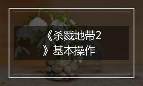 《杀戮地带2》基本操作