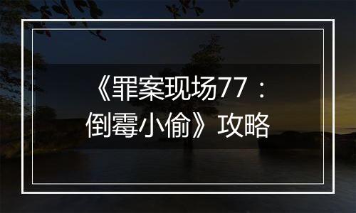 《罪案现场77：倒霉小偷》攻略